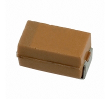 TAJA106K010RNJ
